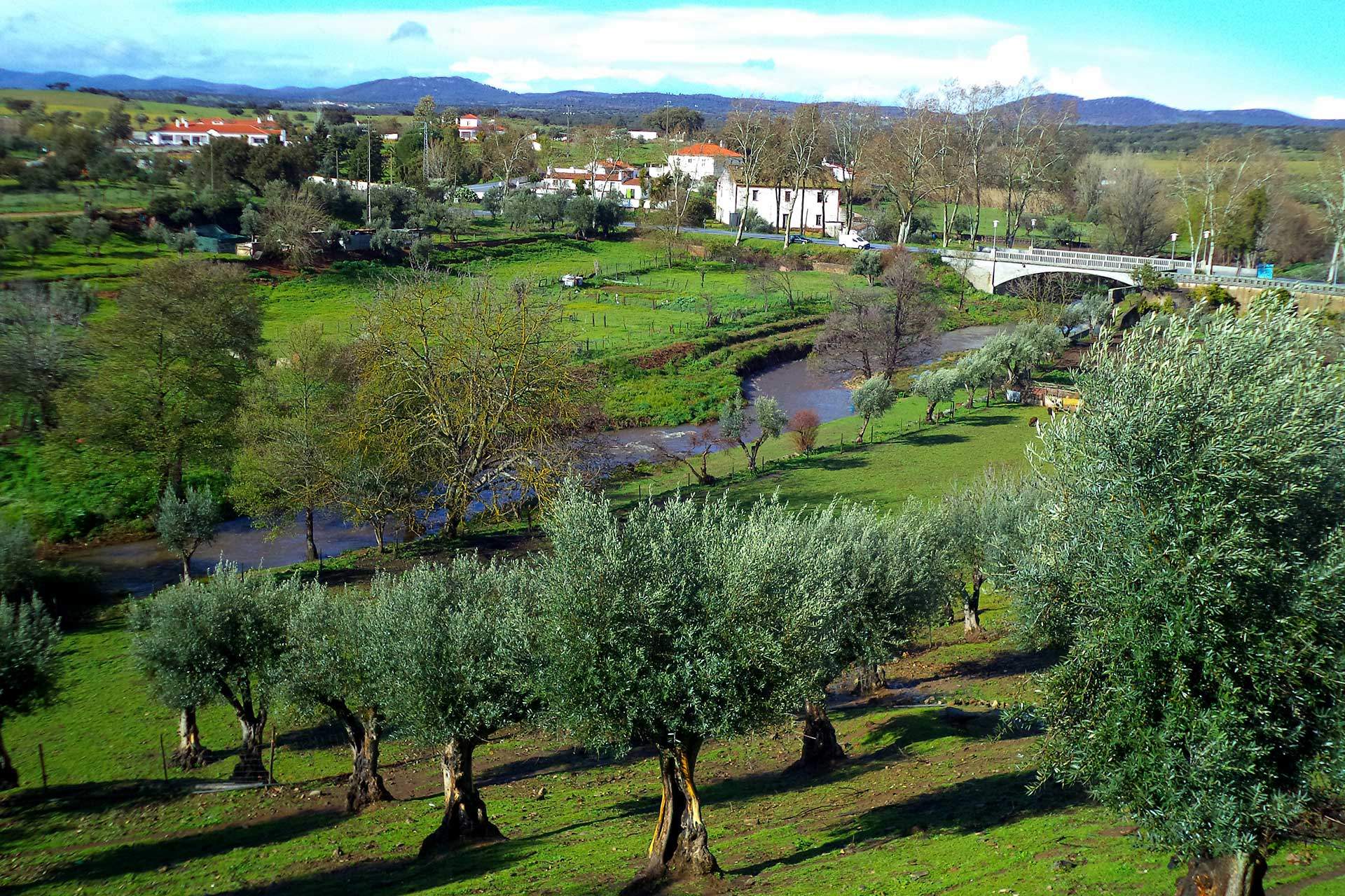 Forte e Valorosa Vila de Arronches