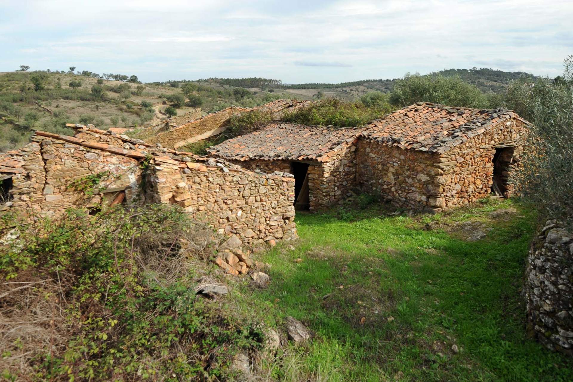 PR5 NIS - À descoberta de São Miguel