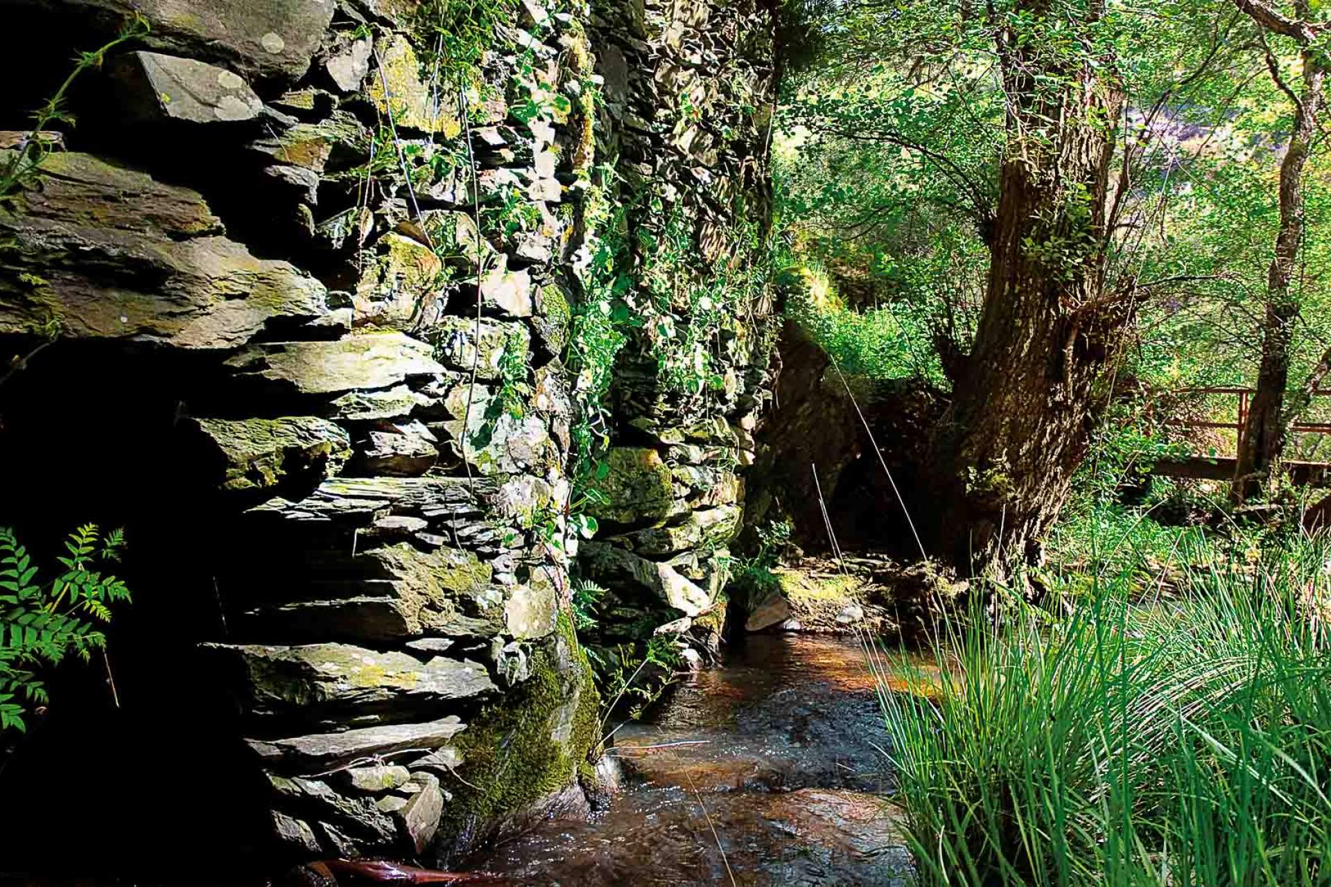 PR2 GAV - Corredor Ecológico das Ribeiras de Alferreireira e Barrocas