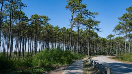 Grande Rota da Ria de Aveiro - Percurso Dourado