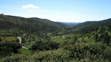 PR8 PTG - Percurso de Vale Lourenço