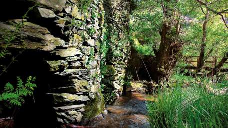 PR2 GAV - Corredor Ecológico das Ribeiras de Alferreireira e Barrocas