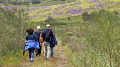 Azenhas e Fortins do Guadiana