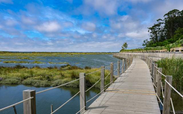 Grande Rota Da Ria De Aveiro - Percurso Azul / Cycling | Portuguese Trails