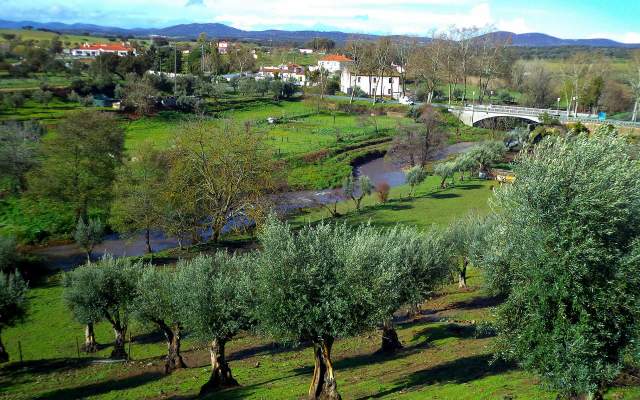 Forte e Valorosa Vila de Arronches