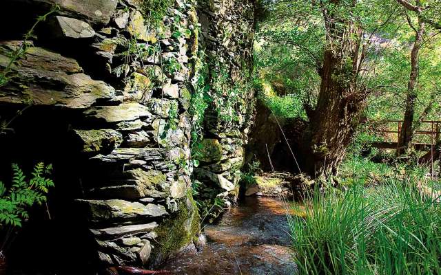 PR2 GAV - Corredor Ecológico das Ribeiras de Alferreireira e Barrocas