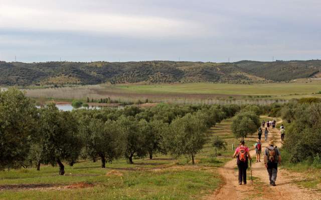 Rota da Água de Moura