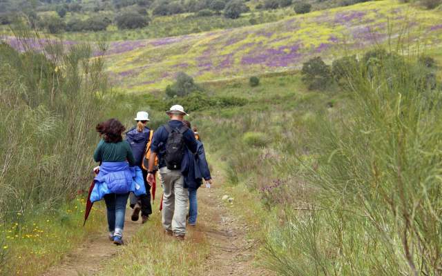 Azenhas e Fortins do Guadiana